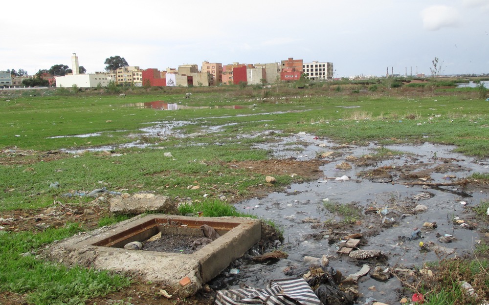 جمعية: مرجة "الفوارات" بالقنيطرة تعاني التدمير البيئي