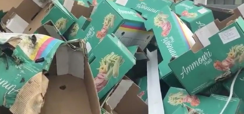  هكذا يتم تزوير مصدر منتجات فلاحية مغربية لبيعها في إسبانيا خارج القانون 