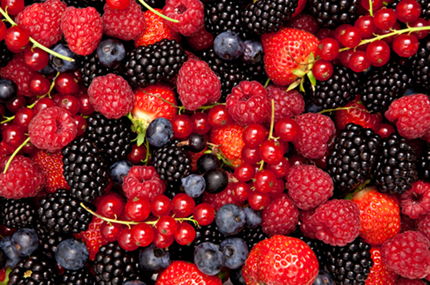  أمريكا ترفع "الحظر" عن توت العليق المغربي 