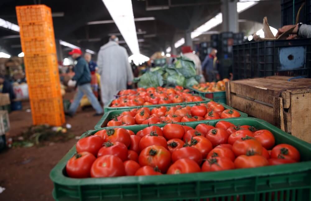 وزارة الفلاحة: تموين السوق بالمنتوجات الغذائية يلبي الحاجيات