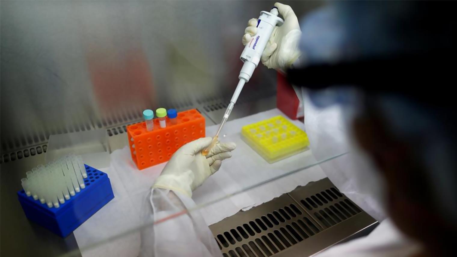 منظمة الصحة العالمية: 20 لقاحا جديدا قيد التطوير لمكافحة "كورونا"