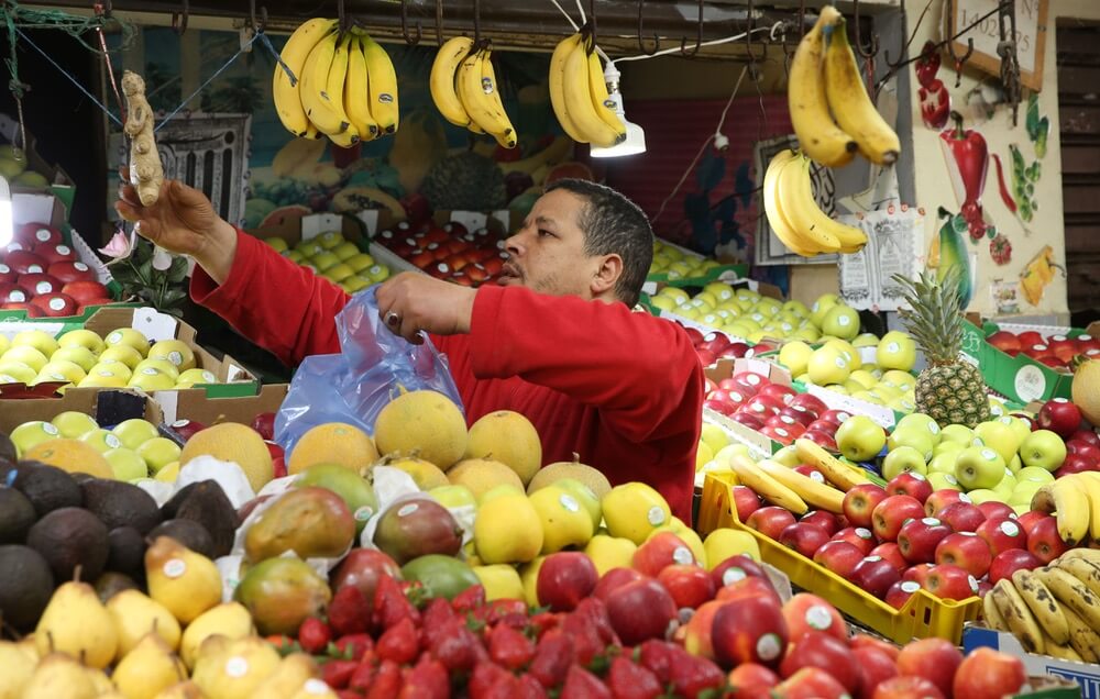 الدار البيضاء.. توقع إنتاج 235 ألف طن من الخضروات للزراعات الربيعية
