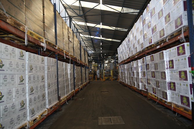 مَندوبية التخطيط.. 67 في المائة من المقاولات المصدرة تضررت بتداعيات كورونا