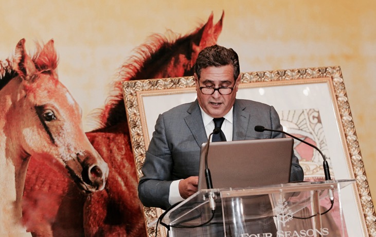  أخنوش يُخصّص دعما شهريا لخيول "Sorec" يفوق ما خُصِص لأسرة من 4 أفراد! 