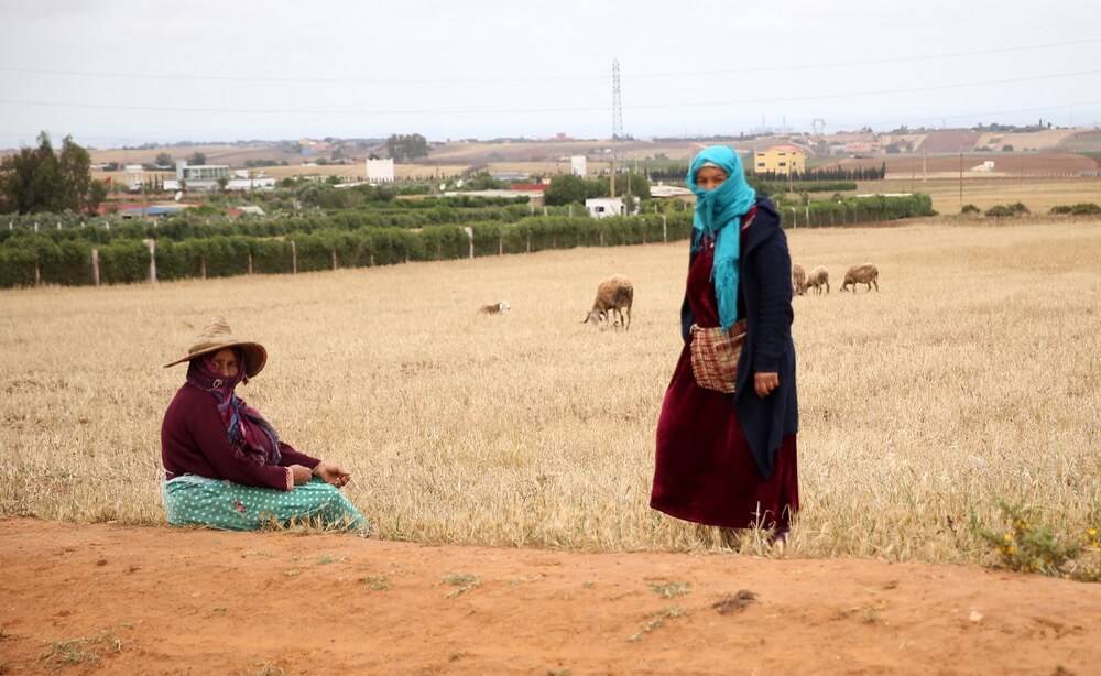 جهة الشرق.. حالة إصابة جديدة وحالتي شفاء إضافيتان من كورونا