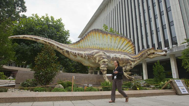 علماء يكتشفون أن أول ديناصور مائي في العالم ظهر في المغرب