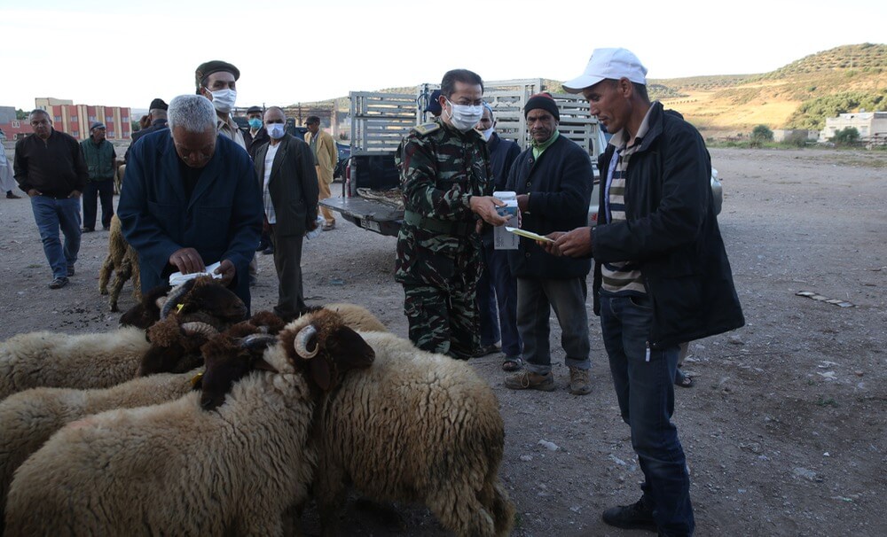 الداخلية ترخص بفتح الأسواق الأسبوعية لبيع المواشي