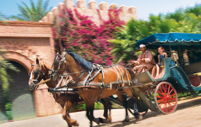  السياحة الداخلية.. تسجيل 8.5 مليون ليلة مبيت بالفنادق المصنفة خلال سنة 2024 