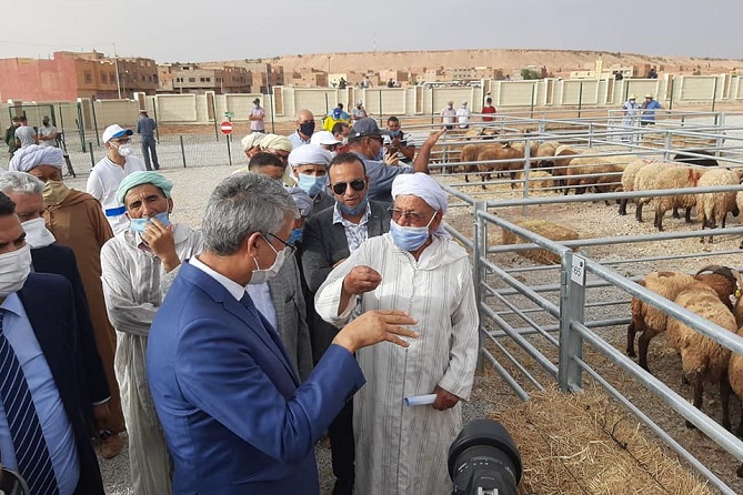  سوق نموذجي للماشية من الجيل الجديد يفتح أبوابه بإقليم جرادة 