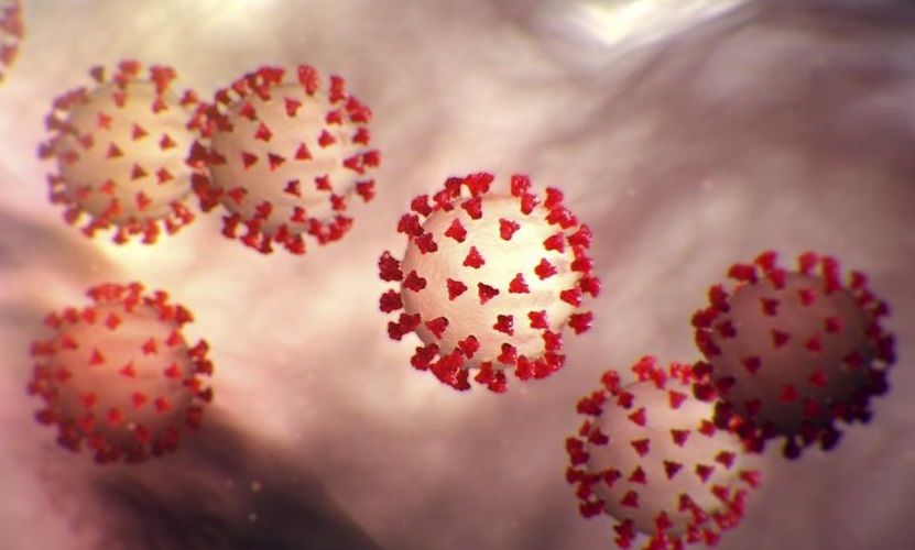  اكتشاف نقطة ضعف لفيروس كورونا قد تقضي عليه 