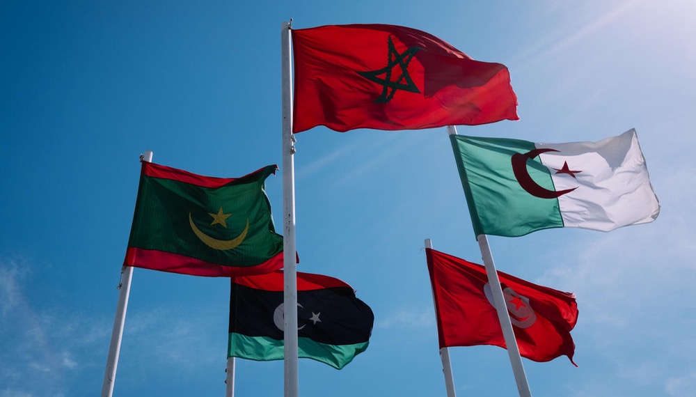  الدول المغاربية وليبيا.. إجماع على الحل واختلاف على الطريق 