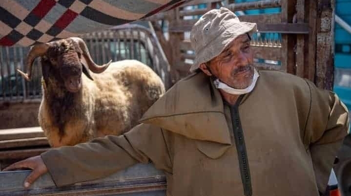  عيد "للنسيان".. قتلى في الطرقات وسرقة الأضاحي وأسر بدون كبش 