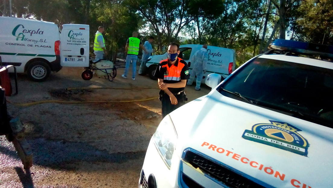  فيروس "النيل" الخطير على أبواب المغرب.. أصاب 40 وقتل شخصين في جنوب إسبانيا 