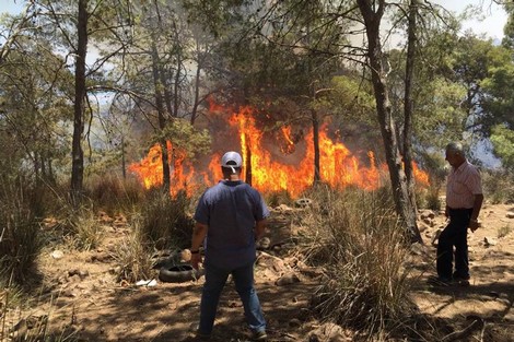  السيطرة على حريق غابوي بإقليم شيشاوة 