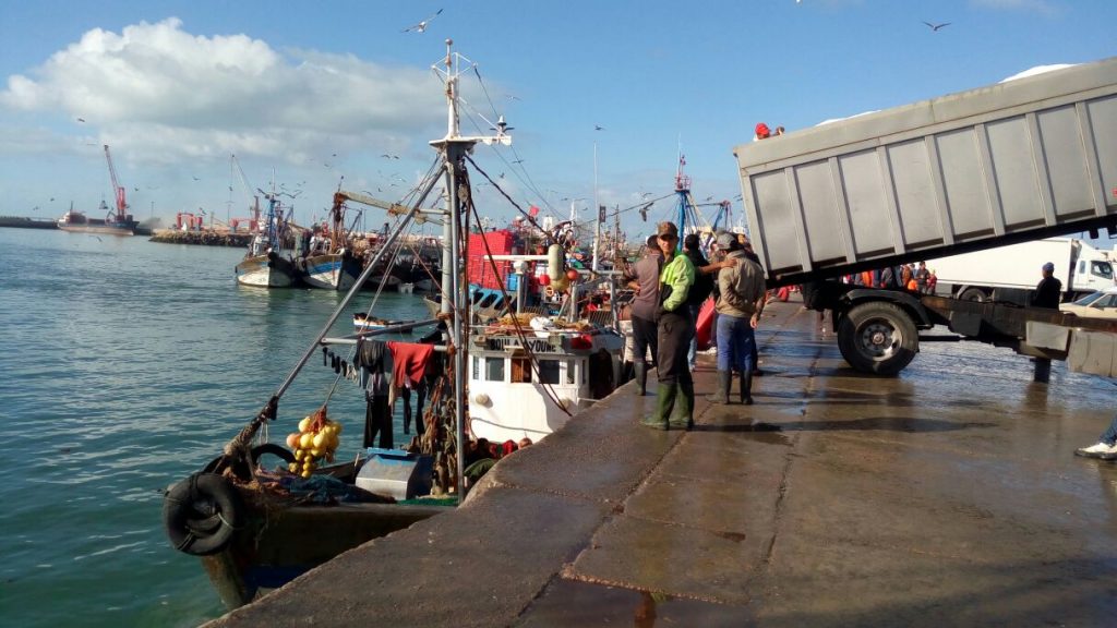  كورونا.. إغلاق ميناء العيون "إلى إشعار آخر" 