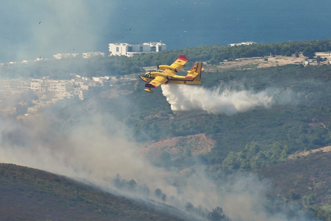 جهود متواصلة للسيطرة على حريق بغابة "الهرارش" بإقليم الفحص أنجرة