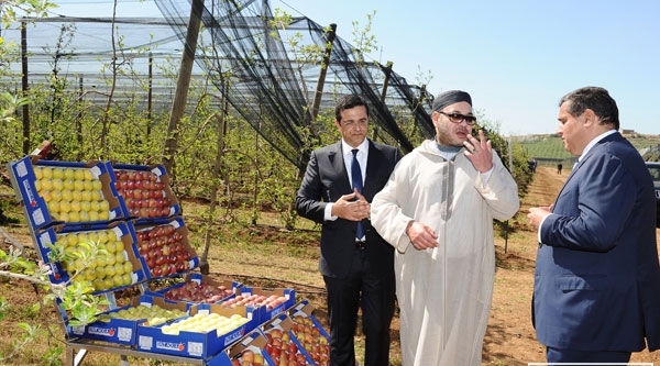 بعد التقارير الرسمية المنتقدة لمخطط أخنوش.. الملك يعلن عن استراتيجية فلاحية جديدة على امتداد مليون هكتار