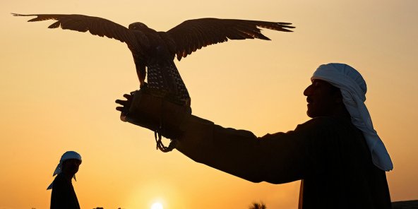 جون أفريك: المغرب ساحة القنص المفضلة لأمراء الخليج.. فهل تتكرر فضيحة 2019؟