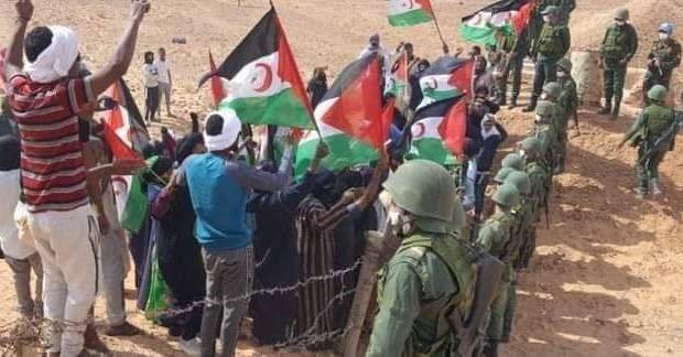  الرباط تختار الهدوء في مواجهة "احتلال" البوليساريو للكركارات.. متى سيلجأ المغرب للتدخل العسكري في المنطقة؟ 