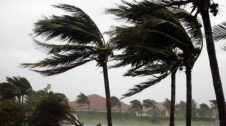 رياح عاصفية قوية بعد غد الاثنين بعدد من أقاليم المملكة