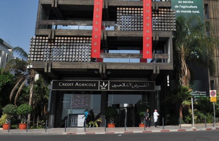  القرض الفلاحي بالمغرب يُعلن دعمه للفدراليات البيمهنية 