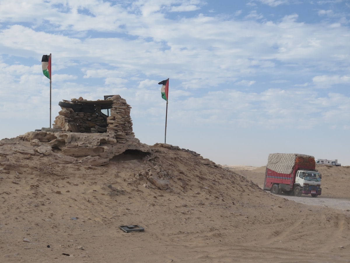 منظمة الليبرالية الدولية تدين خرق "البوليساريو" لاتفاق وقف إطلاق النار