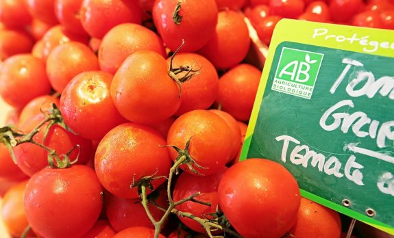 ذات جودة عالية وبأسعار تنافسية.. مَتاجر هولاندا تعوض الطماطم الإسبانية بالمغربية