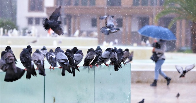 مقاييس التساقطات المطرية المسجلة بالمملكة خلال الـ 24 ساعة الماضية