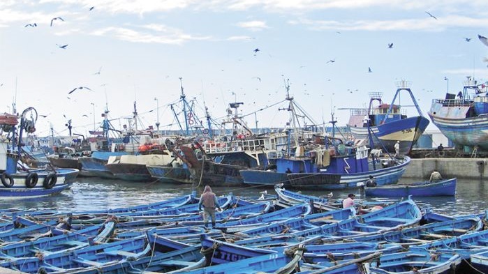  أزيد من 526 مليون درهم قيمة مفرغات الأسماك بميناء طانطان سنة 2020 