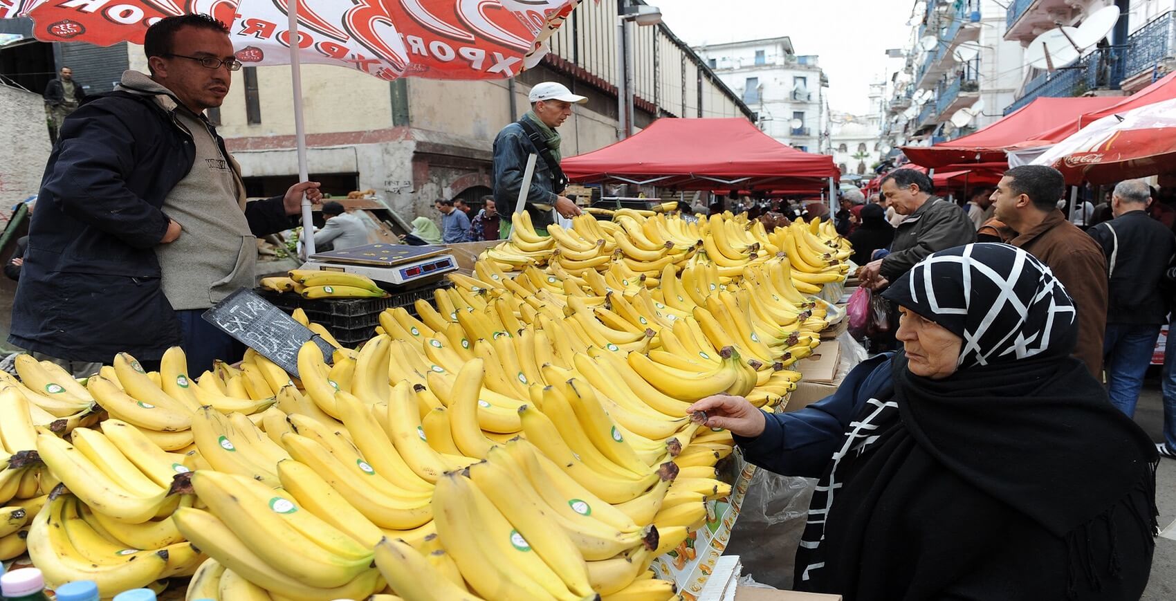 لنزرع الموز.. خطّة الجزائر لتقليص عجز ميزانها التجاري في ظل تناقص إيرادات البترول