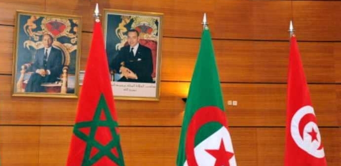  في أحدث مؤشر للديمقراطية.. نظام "هجين" في المغرب و"استبداد بالسلطة" في الجزائر وتونس الأولى عربيا 