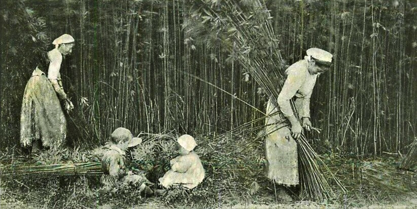  تاريخيا.. هذه هي الفترة الوحيدة التي توقفت فيها زراعة "الكيف" بشمال المغرب 