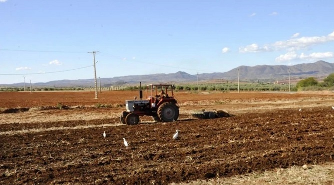 الـ"OCP" والقرض الفلاحي يُمولان مشاريع الفلاحين الصغار عبر تطبيق