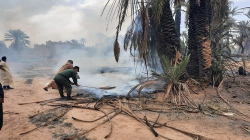  حريق يأتي على أعداد كبيرة من النخيل بواحة تيغمرت بكلميم 