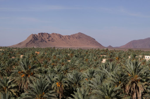 واحة العرجة.. أرض مغربية اقتطعها الاستعمار الفرنسي من المملكة و"أهدتها" معاهدة الحدود للجزائر