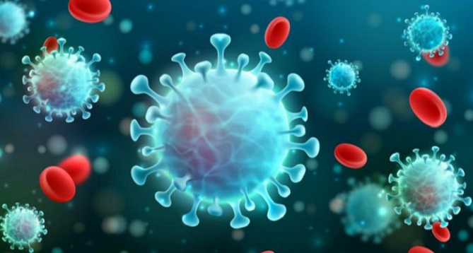 اكتشاف سلالة جديدة من فيروس كورونا في الفلبين