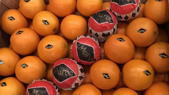 الاتحاد الأوروبي توعد بمنعها.. شركات إسبانية تُزور منشأ المنتجات الفلاحية المغربية لإعادة تسويقها