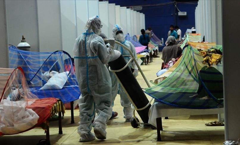  "الفطر الأسود".. قلق وجدل ونفي رسمي في مصر والسعودية والبحرين 