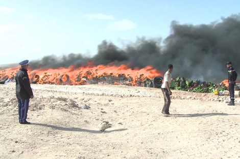 إتلاف أزيد من 9 أطنان من مخدر الشيرا في الدار البيضاء