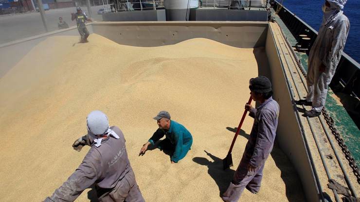  بعد أن وجدت خنزيرا ميتا في شحنة قمح قادمة من فرنسا.. الجزائر تلجأ لروسيا لاستيراد 28 ألف طن من القمح 