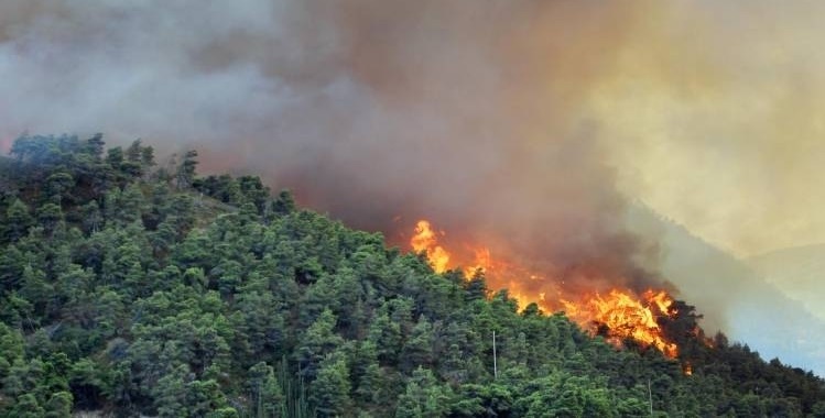  تمرين محاكاة لإخماد حرائق الغابات بإقليم تطوان 