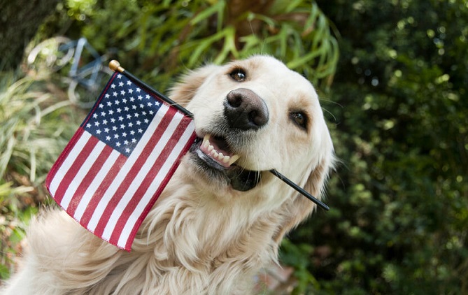  أميركا توقف استيراد الكلاب من 113 دولة من بينها السعودية والأردن 