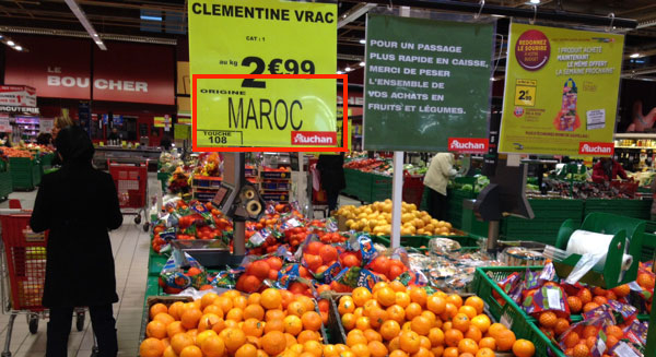 رغم كورونا والأزمة الدبلوماسية.. المغرب أكبر مُصدِّر للخضر والفواكه إلى إسبانيا بقيمة 423 مليون درهم