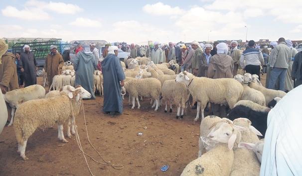  بمناسبة عيد الأضحى.. وزارة المالية تعلن صرف أجور الموظفين الأسبوع المقبل 