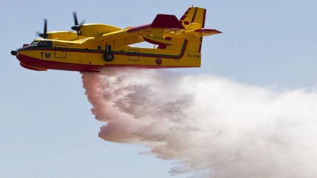 جهود متواصلة لإخماد حريق غابوي بشفشاون