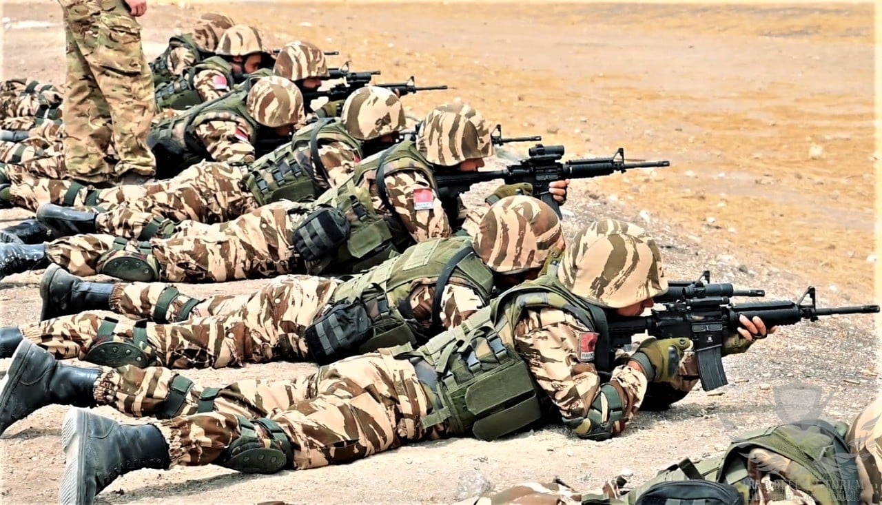  الجيش الأمريكي يكشف تفاصيل مناورات "الأسد الإفريقي" المقبلة في المغرب ويصفها: ستكون الأفضل على الإطلاق 