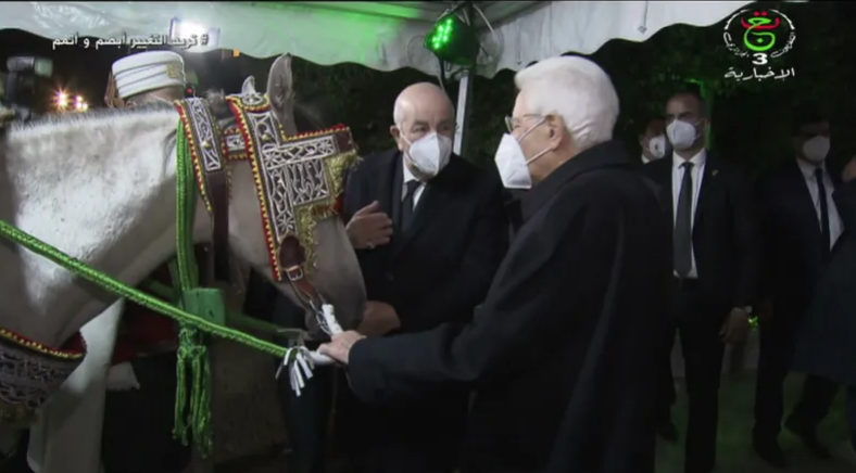  تبون يهدي نظيره الإيطالي حصانا عربيا أصيلا 