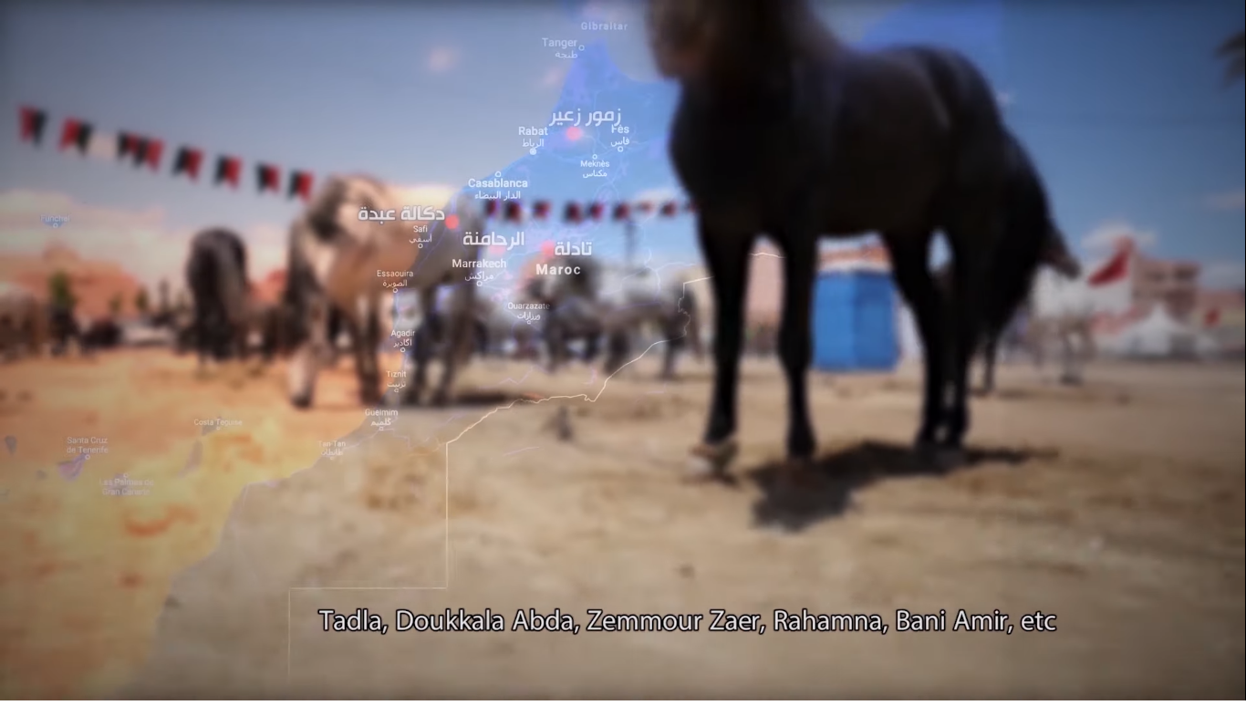 "اليونيسكو" تُروج لتصنيف "التبوريدة" كتراث ثقافي بخريطة المغرب الكاملة