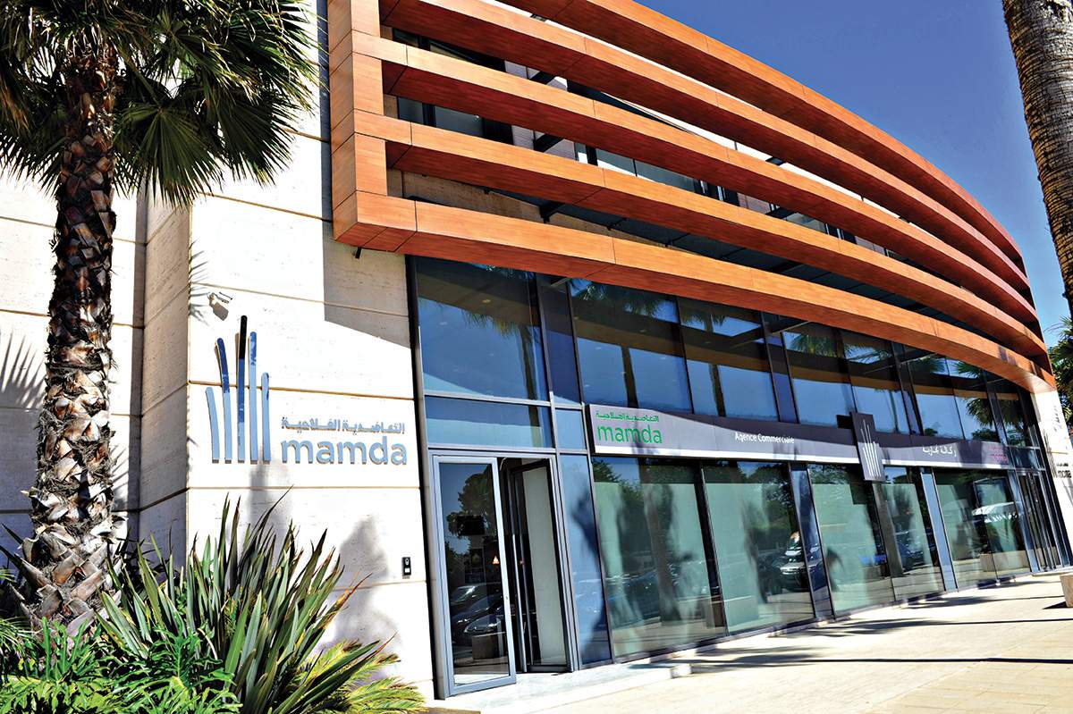  (مامدا) تضع آلية خاصة لمواكبة ودعم الفلاحين في مواجهة الجفاف خلال الموسم الفلاحي 2021-2022 