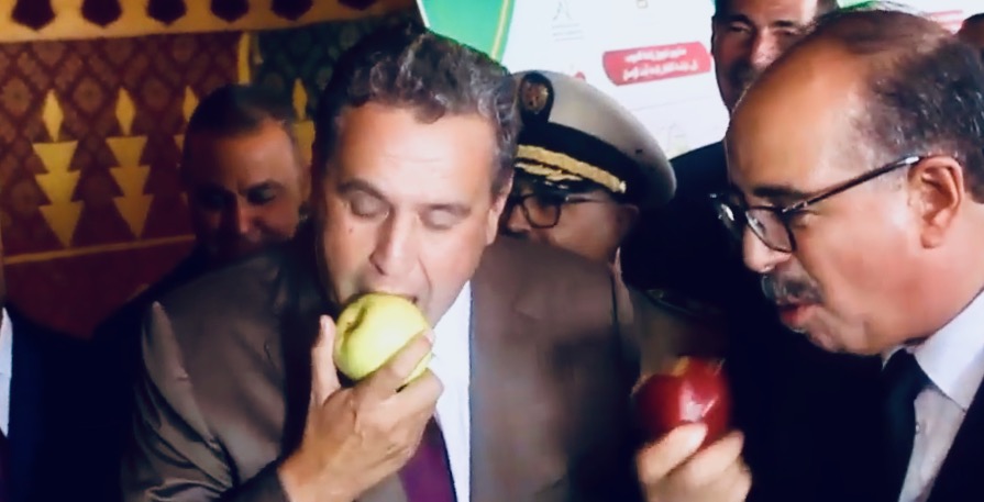 تزامنا مع الجفاف ولهيب الأسعار.. مخطط أخنوش "المُدلل" يُعرض على المحاكمة البرلمانية بعد 14 عاما على انطلاقه